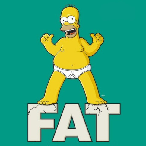 Homer fat and happy shopped final b